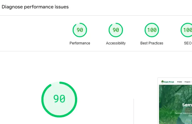 Desain Website Kursus Online 22 Pagespeed Insight Alam Privat